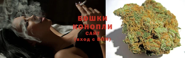 шишки Семилуки
