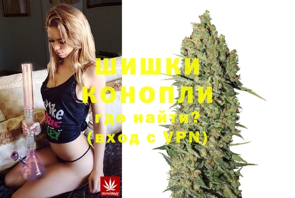 спайс Баксан