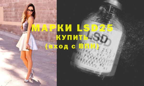 спайс Баксан