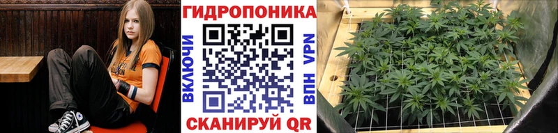 МАРИХУАНА семена  где купить   Волжск 